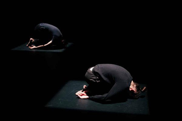 Quels sont les éléments clefs pour réussir une performance de théâtre d'ombres chinoises ?