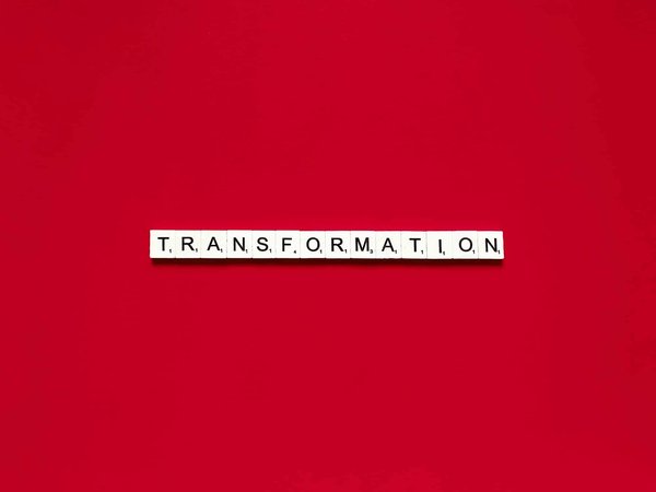 Comment les zones urbanisées peuvent-elles être transformées pour favoriser la biodiversité ?