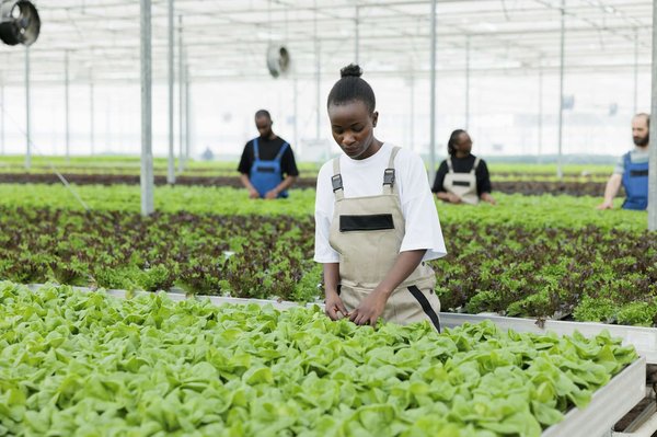 Quelles méthodes pour enseigner l'histoire globale à travers des films internationaux?